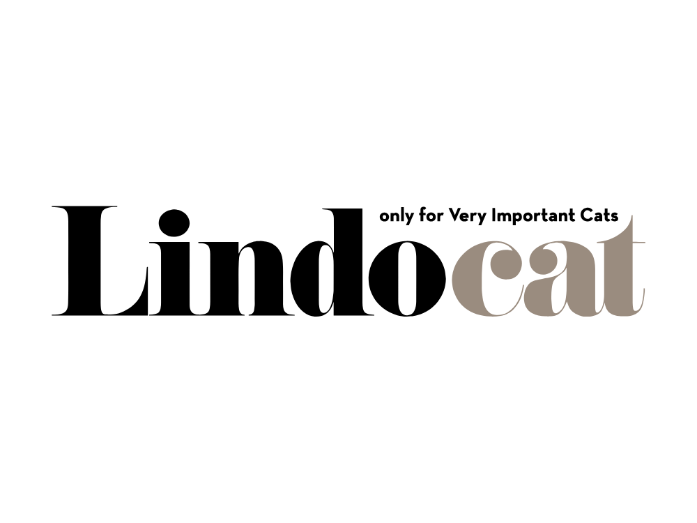 LindoCat